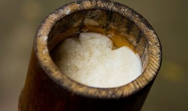 čajovníkový olej na liečbu bradavíc